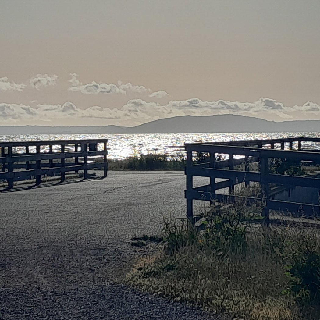 Hayward Regional Shoreline 2